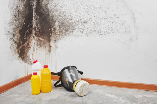 Best Residential Mold Removal  in Kingsburg, CA