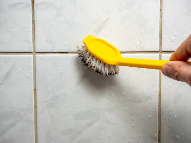 Best Toxic Mold Removal  in Kingsburg, CA