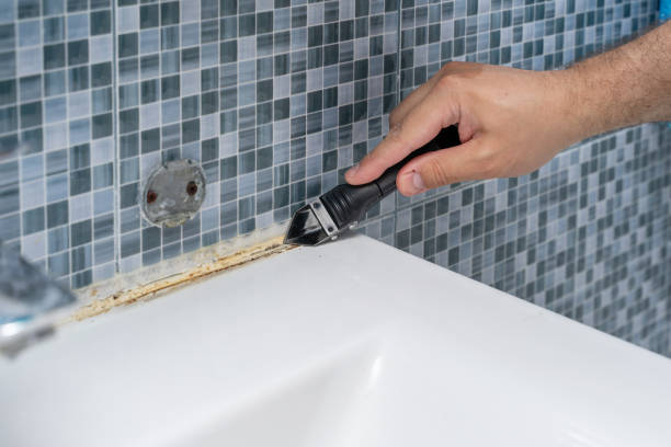 Best Commercial Mold Removal  in Kingsburg, CA