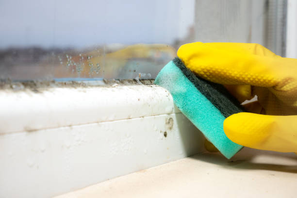 Crawl Space Mold Removal in Kingsburg, CA