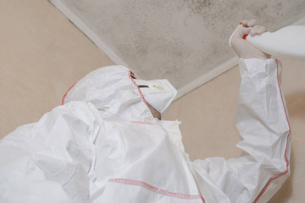 Best Fast Mold Removal  in Kingsburg, CA