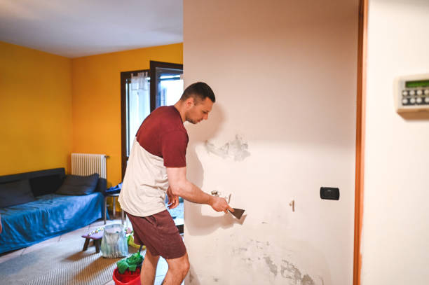 Best Certified Mold Removal  in Kingsburg, CA