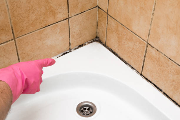 Best Emergency Mold Removal  in Kingsburg, CA